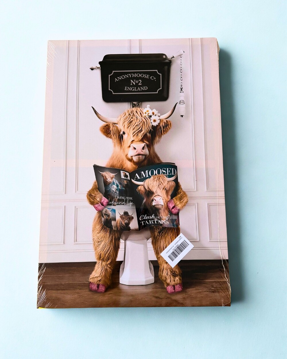 Highland Cow Bathroom Canvas Wall Art Funny Farmhouse Decor NEW